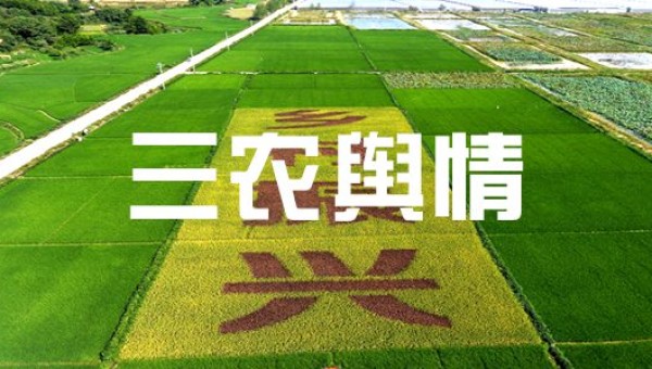 舆情热点