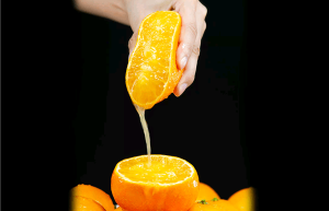 洪紫千:今天象山红美人开摘啦!